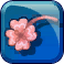 Pink Four-Leaf Clover